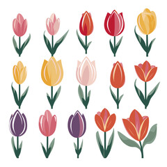 Fototapeta premium vector collection of tulip flowers