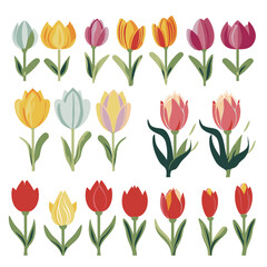 Obraz premium vector collection of tulip flowers