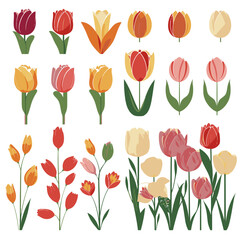 Obraz premium vector collection of tulip flowers