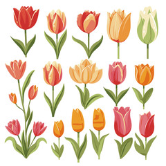 vector collection of tulip flowers
