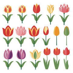 Fototapeta premium vector collection of tulip flowers