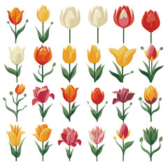 Obraz premium vector collection of tulip flowers