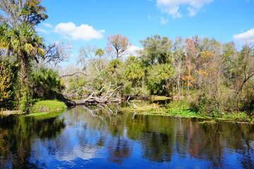 The winter landscape of  Hillsborough river	