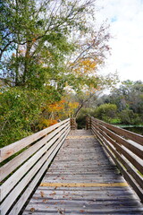 Obraz premium The winter landscape of Florida Trail 