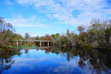 Fototapeta na wymiar The winter landscape of Florida Trail and Hillsborough river