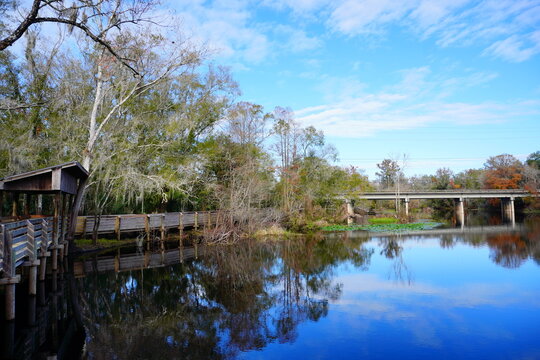 The winter landscape of Florida Trail
