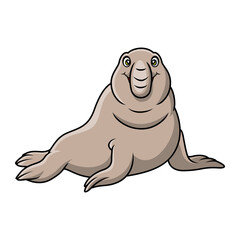 Cute bull elephant seal cartoon on white background