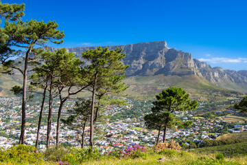Obraz premium View of a part of the beautiful Cape Town from Signal Hill South Africa