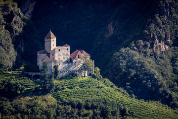 Schloss auf dem Weinberg, S&uuml;dtirol bei Bozen