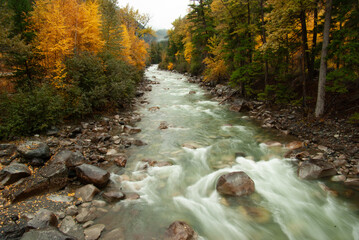 Some rapids of Cayoosh Creek, a tributary of the Seton River, beside the Duffey Lake Road, in British Columbia in autumn
