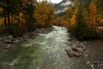 Some rapids of Cayoosh Creek, a tributary of the Seton River, beside the Duffey Lake Road, in British Columbia in autumn