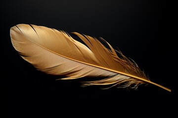 Sophisticated design Golden feathers on black background, perfect for branding