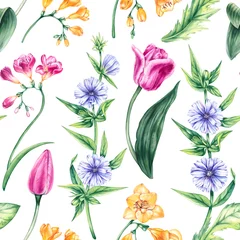 Zelfklevend Fotobehang Watercolor floral pattern Spring meadow flowers tulips, freesia, chicory isolated on white background © SashaKondr