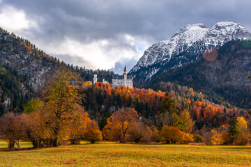 Fall colors around Neuschwanstein with snow on the Alps - obrazy, fototapety, plakaty