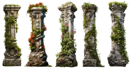 Deurstickers An antique column set with overgrown foliage and flowers, old architecture pillars, and nature, Mideveil and Asian ruins style , isolated on a transparent background, PNG © Azlan Art 