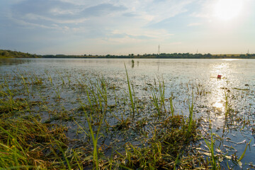 Lake or pond. Background with selective focus and copy space