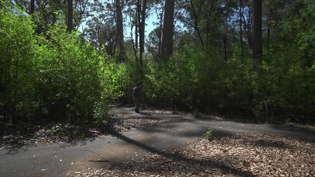 Man walking from left of frame through to exit on right of frame in Karri forest, Western Australia.