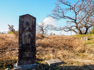 遊水地整備によって水没した、旧谷中村の跡地。
寺社仏閣の石碑や仏像などが残る。

日本国栃木県栃木市、渡良瀬遊水地にて。
ラムサール条約登録。
2023年12月23日撮影。

It is registered under the Ramsar Convention.
photo by December 23, 2023.

This is the site of the former Yanaka