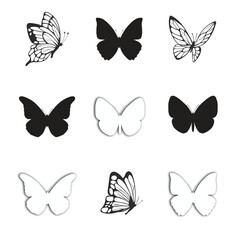 set of butterflies vector design elements, butterfly, insect, vector, nature, set, collection, butterflies, design, illustration, animal, beauty, summer, fly, wing, silhouette, icon, spring, art