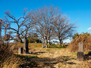遊水地整備によって水没した、旧谷中村の跡地。
寺社仏閣の石碑や仏像などが残る。

日本国栃木県栃木市、渡良瀬遊水地にて。
ラムサール条約登録。
2023年12月23日撮影。

It is registered under the Ramsar Convention.
photo by December 23, 2023.

This is the site of the former Yanaka