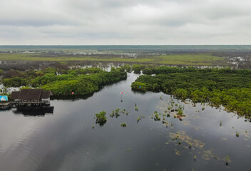 Aerial view of the Sebangau national park area in Palangkaraya, Central Kalimantan, Indonesia. Sebangau is a protected peat swamp area.