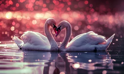 Foto op Aluminium two swans on the lake © ThKimNgn