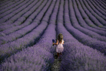 Lavender field girl. Back view happy girl in pink dress with flowing hair runs through a lilac field of lavender. Aromatherapy travel