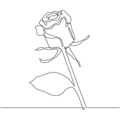 Rose one continuous line drawing. Botanical plant concept