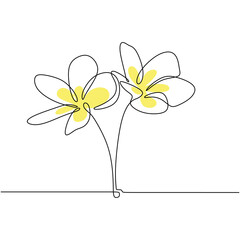 Plumeria flowers vector. One continuous line art drawing. Exotic tropical plant