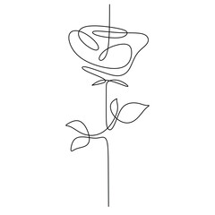 Rose one continuous line drawing. Botanical plant concept