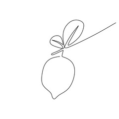 Lemon fruit in continuous one line drawing. Lime food healthy concept
