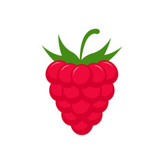 raspberry cartoon vector alphabet R fruit