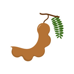 Tamarind cartoon vector alphabet T fruit