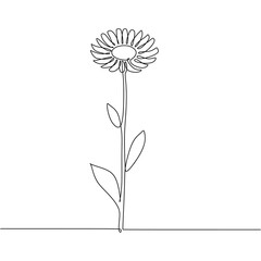 Daisy flower continuous one line drawing