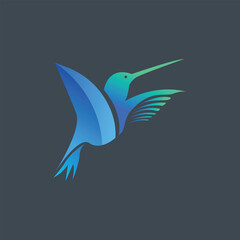 vector modern humming bird logo design illustration