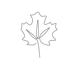 Maple leaf continuous line art drawing