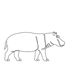 hipopotamus Continuous single line art drawing. Hippo animal wildlife