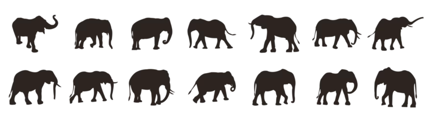 Foto op Aluminium Elephant icons collection. Set of elephant silhouettes in different poses of Africans elephant or jungle elephant and asian elephant with big ears - vector illustration © FK