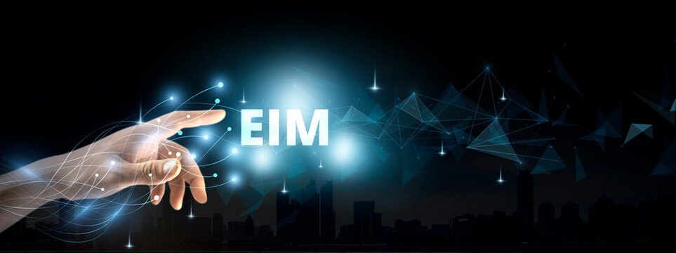 EIM Enterprise information management system.