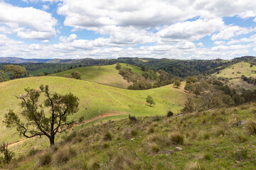 Australian bush landscape in New South Wales