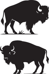 Bison black silhouette animal