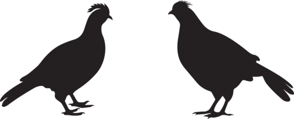 Fotobehang silhouette of grouse  © Qurban Vector & Ai