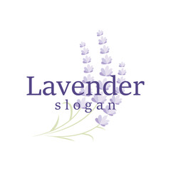 Lavender Logo Elegant Purple Flower Plant Illustration Floral Ornament Design