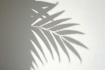 Fototapeta na wymiar Shadow Play: Palm Leaves on White, Generative AI