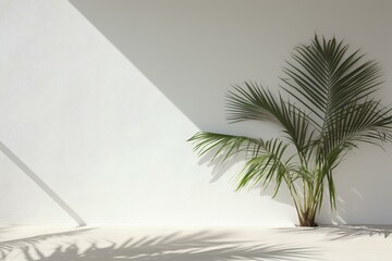 Corner Palm Plant Shadow, Generative AI