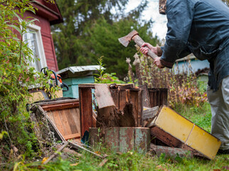 chopping old hives for firewood