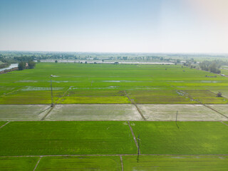 Aerial view of paddy field in Thailand..