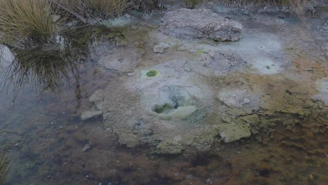 Hot mineral sulfur water with green sediment the boiling bubble from the hole on earth nature wonderful natural mineral water treatment spa n Iran Saudi Arabia wellness tourism Tabas Lut desert Neom 