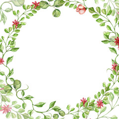Fototapeta premium The frame is a wreath of wild herbs and flowers. watercolor illustration. isolated on a white background. for the design of postcards, invitations