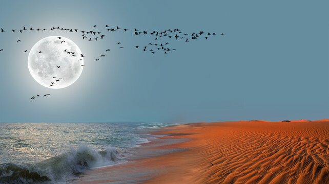 Flock of migration birds flying in V formation against sunset sky - Namib desert with Atlantic ocean meets near Skeleton coast - Namibia, South Africa